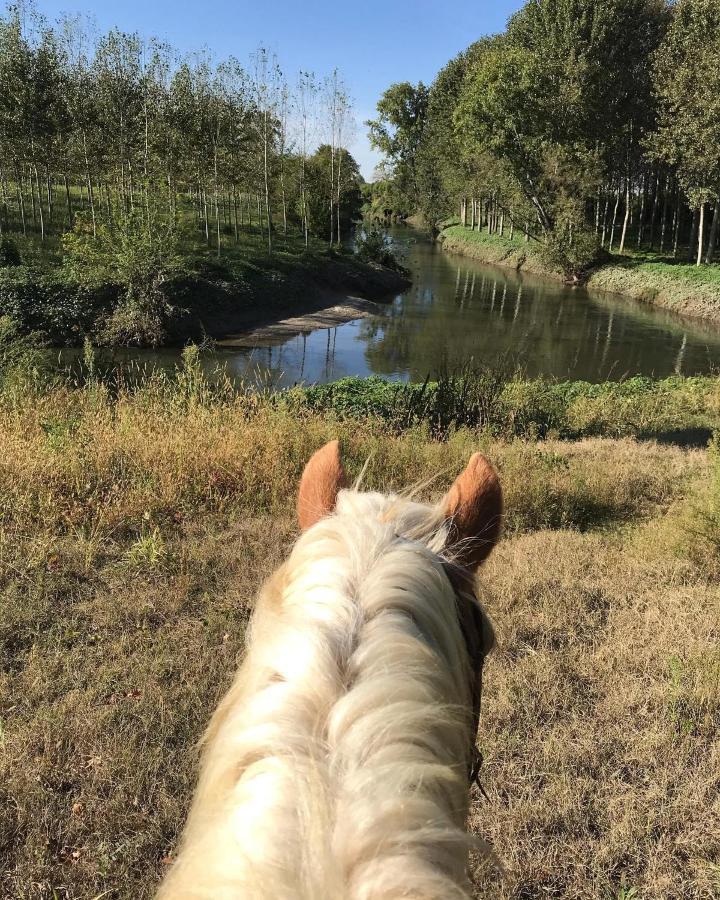 Agriturismo Tenuta "Il Cigno" Villanterio Eksteriør bilde