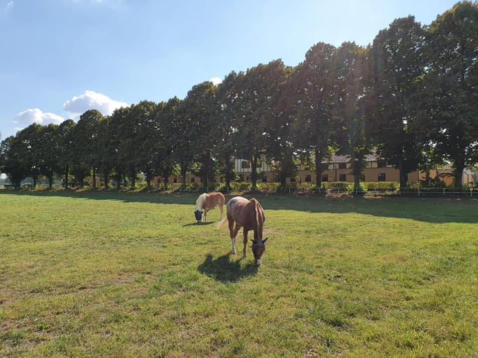 Agriturismo Tenuta "Il Cigno" Villanterio Eksteriør bilde