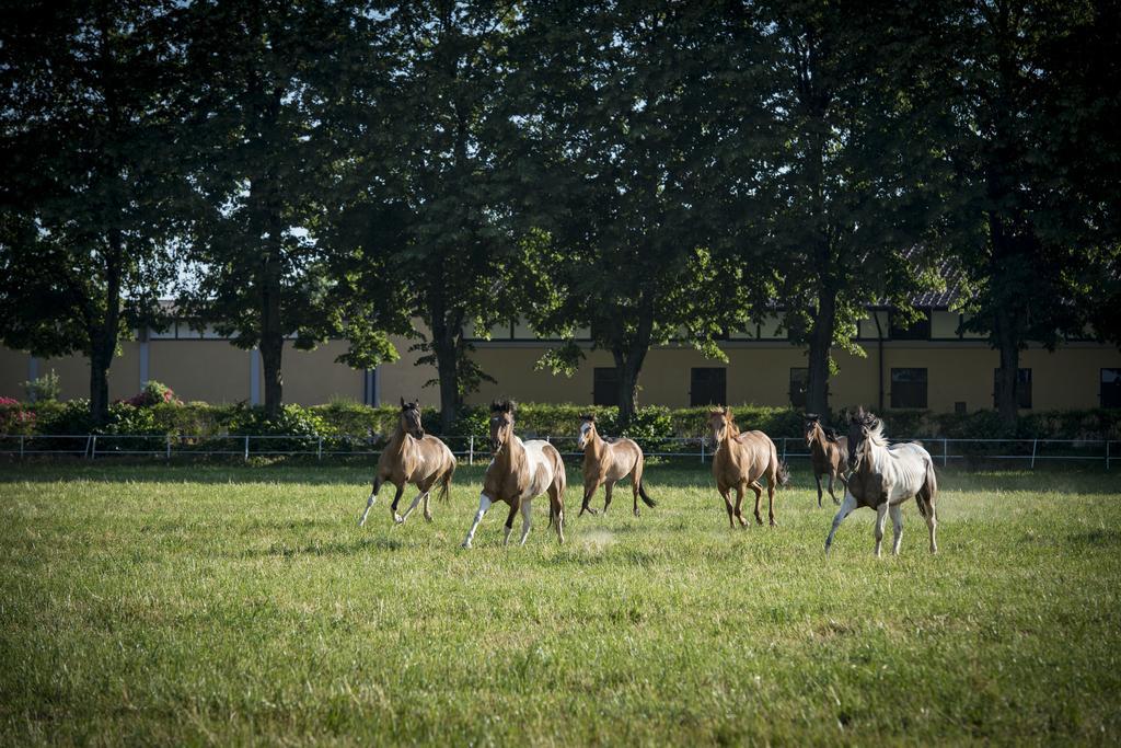 Agriturismo Tenuta "Il Cigno" Villanterio Eksteriør bilde