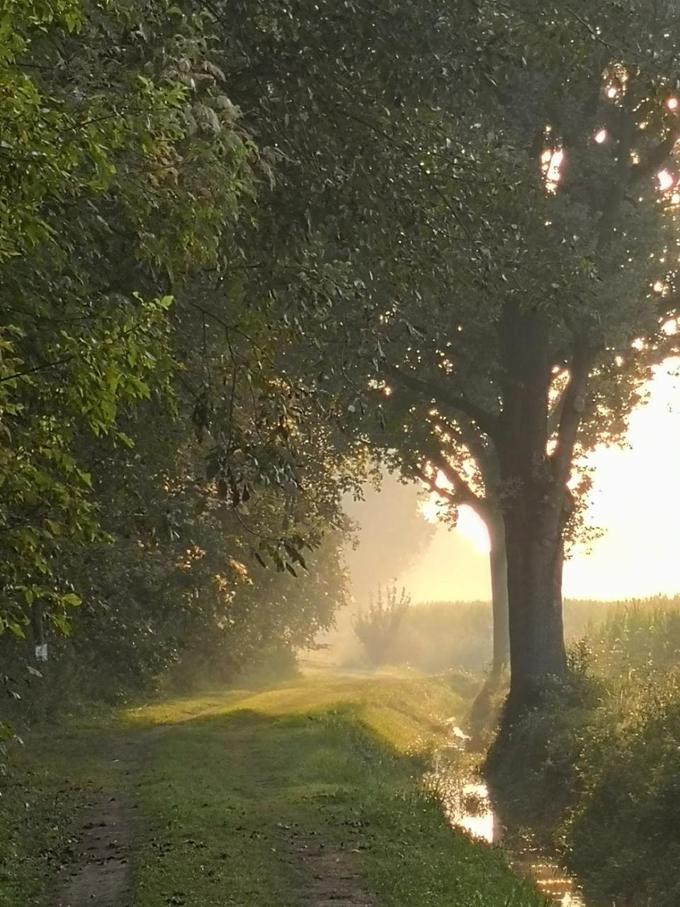Agriturismo Tenuta "Il Cigno" Villanterio Eksteriør bilde