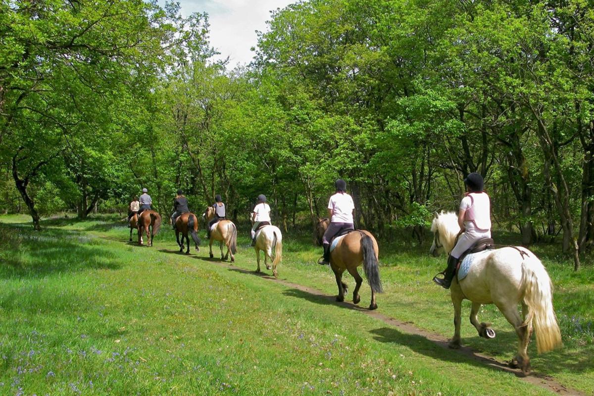 Agriturismo Tenuta "Il Cigno" Villanterio Eksteriør bilde